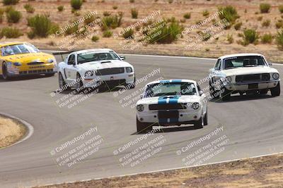 media/Oct-25-2025-West Coast Racing (Sat) [[9fdcbcd09c]]/Yellow group/Turn 3/